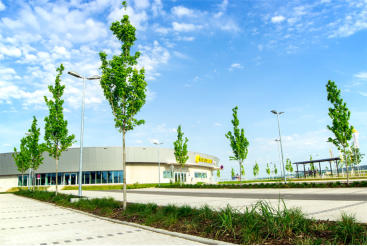 Auenanlage der Ballsportanlage Coburg