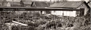 Die neue Baumschule ca. 1961
