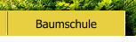 Baumschule