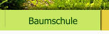 Baumschule