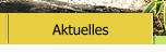 Aktuelles
