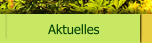 Aktuelles